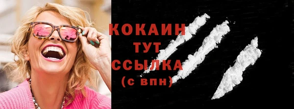 спиды Новозыбков