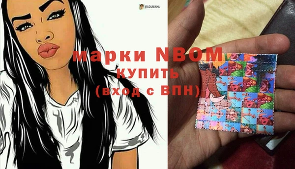 гашик Новокубанск