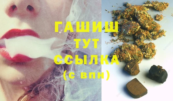 хмурый Ельня